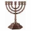 7 Branch Menorah Twelve Tribes of Israel in Cooper