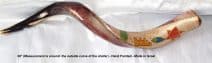 Yemenite Kudu Horn Shofar Grafted In & Holy Jerusalem 28