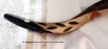 Yemenite Kudu Horn Shofar Grafted In & Holy Jerusalem 28