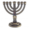 Brass Menorah - Grafted Messianic Star of David & Fish, Hoshen Stones Jerusalem