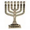 7 Branch 12 Tribes Menorah Plated in Cooper