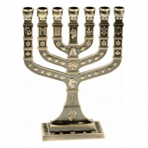 7 Branch 12 Tribes Menorah Plated in Cooper