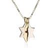 Star of David Israel Defender Necklace