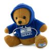 Teddy Bear with Israeli Flag - Israel Gift