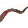 Yemenite Shofar Kudu Horn- Half Polished Large