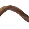 Yemenite Shofar Kudu Horn- Half Polished Jumbo