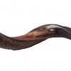 Yemenite Shofar Kudu Horn- Half Polished Small - Medium