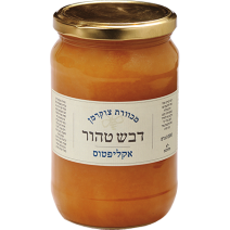 Honey Israeli from Eucalyptus Flowers