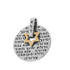 Sterling Silver Ana Bekoach Pendant with Star of David in Gold
