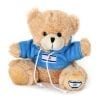 Teddy Bear With Israel Flag  Light Blue Sweatshirt