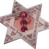 Dreidel Start of David in Silver and Burgundy Hanukkah Blessings Hanukkah Gift