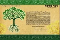 Tree of Life Jewish Ketubah Marriage Contract