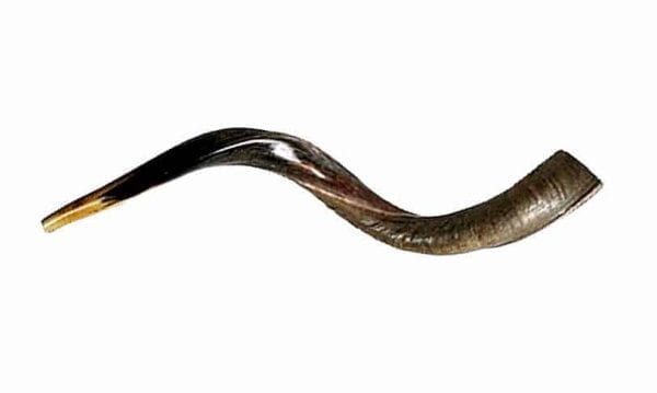 Kudu-Horn-Yemenite-Kosher-Shofar-66-69-cm26-27-Half-or-Polished-Israel-152396925965-2