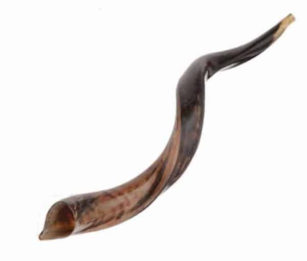 Kudu-Horn-Yemenite-Kosher-Shofar-66-69-cm26-27-Half-or-Polished-Israel-152396925965-3